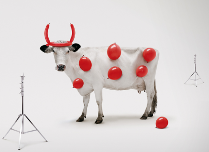 cow with balloons