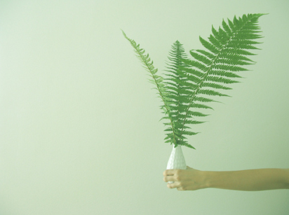 leaf-plant-arm