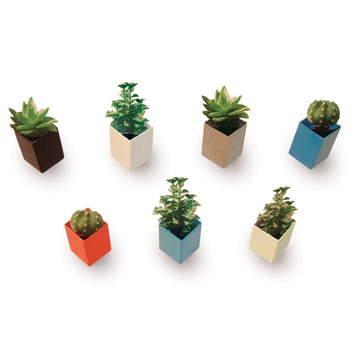 off-the-wall-planters