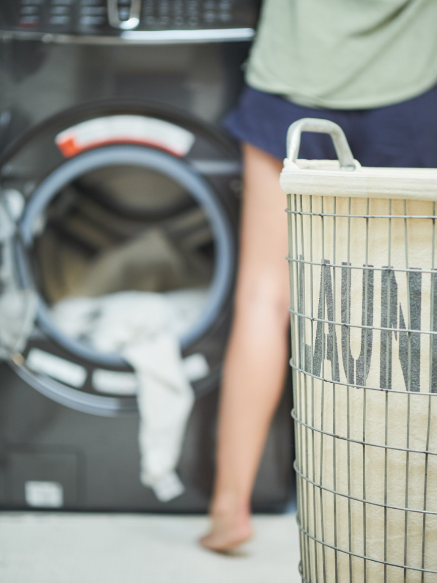 Teacup And Toy Pets Boutique - Dallas A-List Saying Yes to the Mess, With a Bit of Help From a Laundry ...