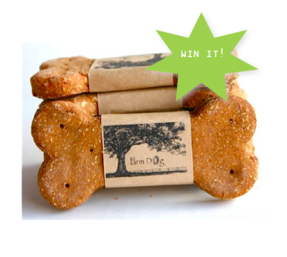 dog-biscuits-giveaway