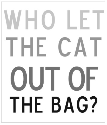 who-let-the-cat-out-of-the-bag
