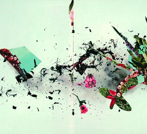 spilled flowers