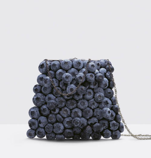 blueberry purse