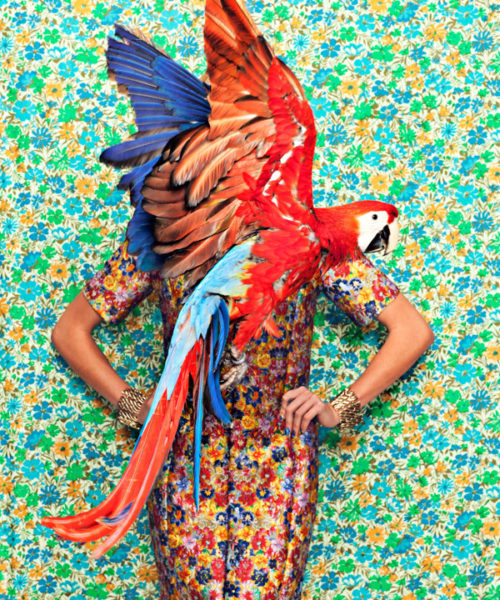 pattern and wallpaper photo shoot 2