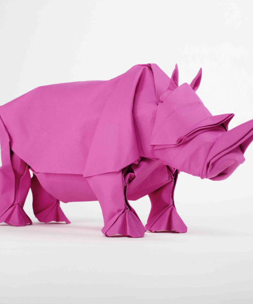 pink rhino