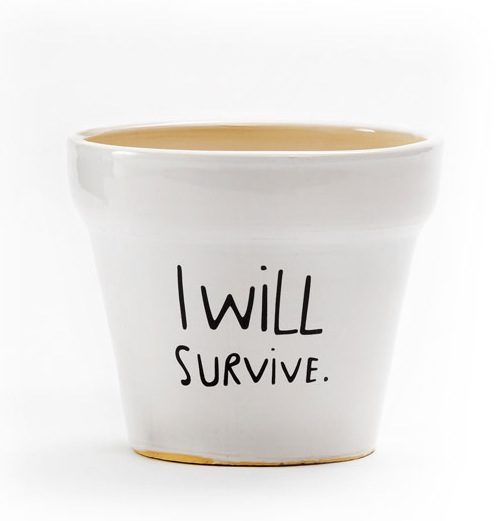 i will survive plant pot