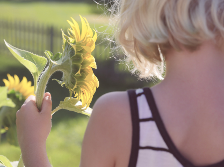girl and sunflower