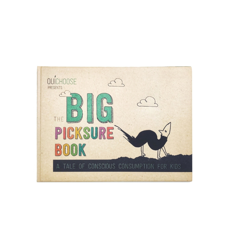 the big picksure book